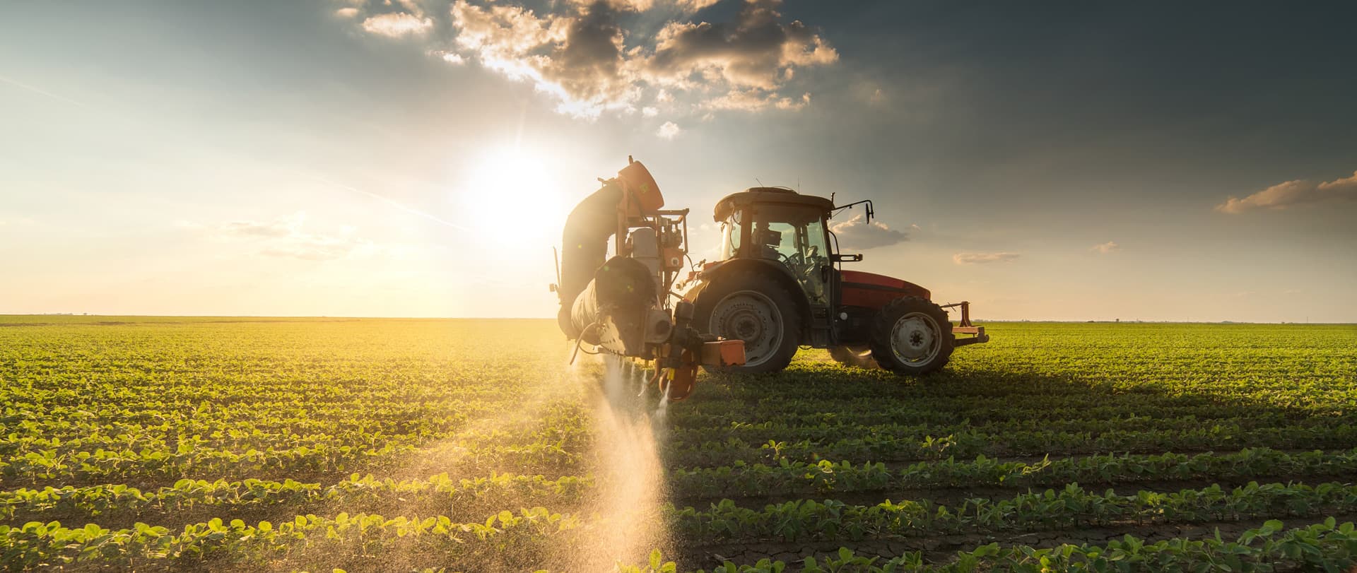 Todos los servicios de Agro Vilanoviña en Pontevedra