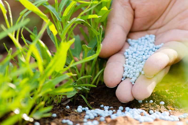 Productos para su huerta, para su campo o sus animales